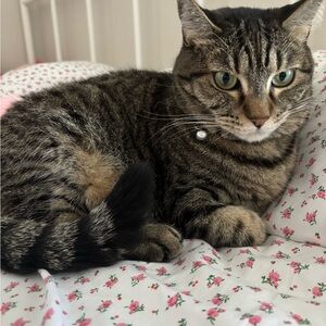 Meet your Posher, Sophia